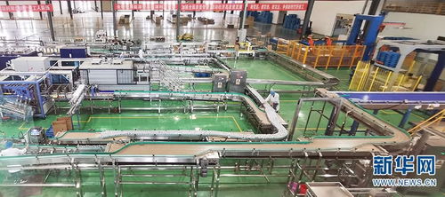 云南社科專家團赴楚雄州調研 為產業發展與網絡科技融合建言獻策